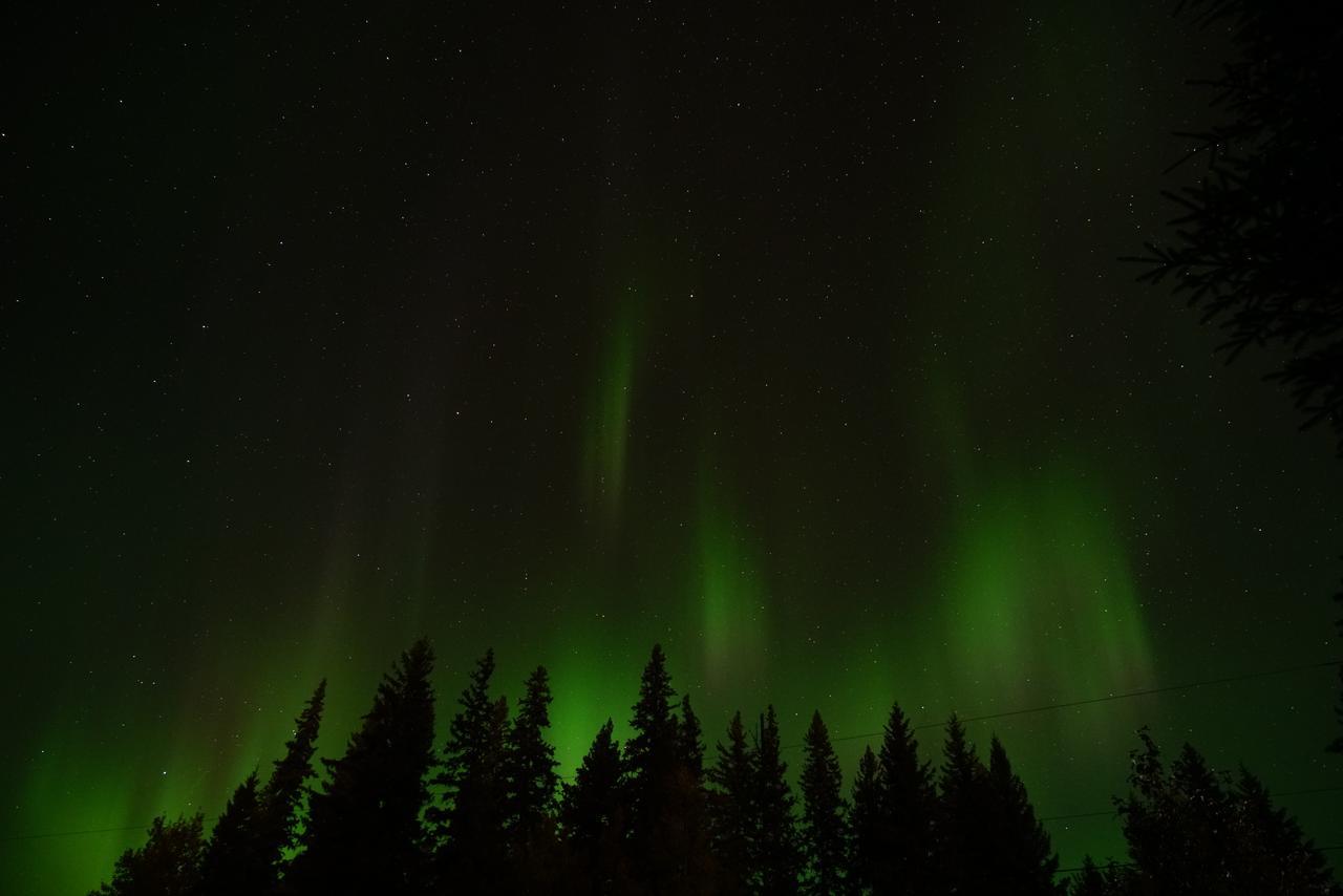 Yellowhead Motel Valemount Kültér fotó